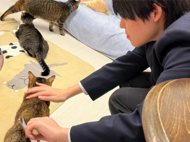 【高校生記者がゆく】仙台の「保護猫シェルター」で学ぶ、保護猫活動のいま